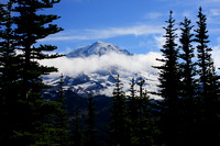 Mt. Rainier from Lookout Trail