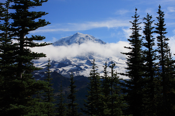 Mt. Rainier from Lookout Trail